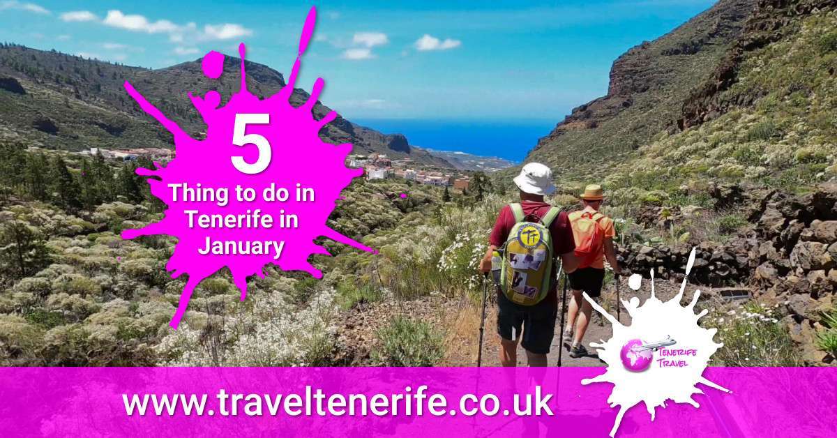 Tenerife in January