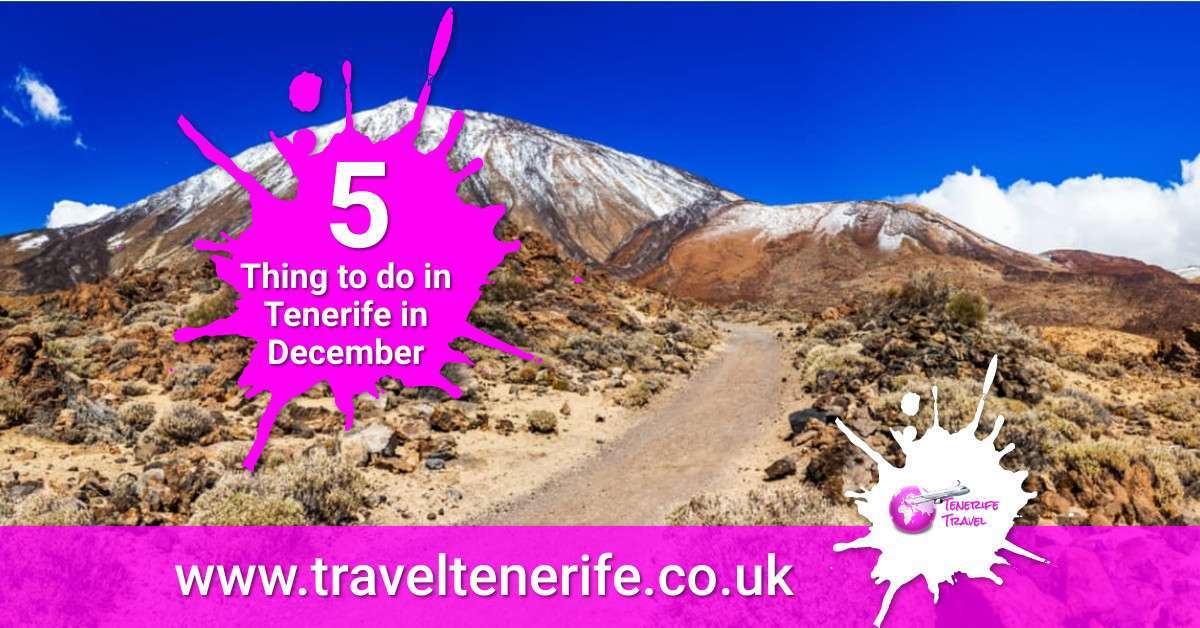 Tenerife in December